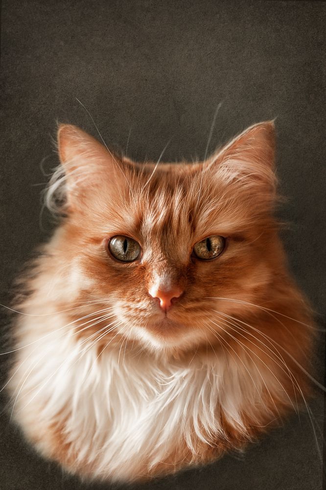 Photograph by Кристина Глухова