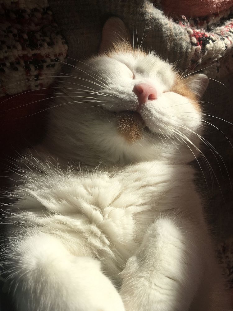 Photograph by Алена Морозова