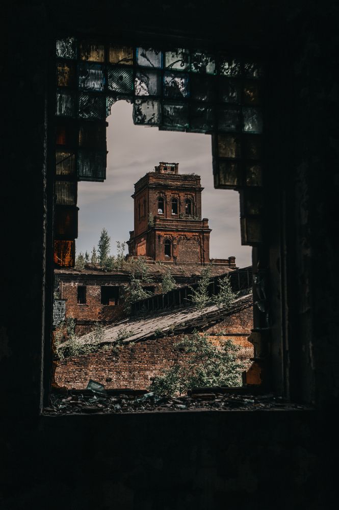 Photograph by Сафронова Любовь