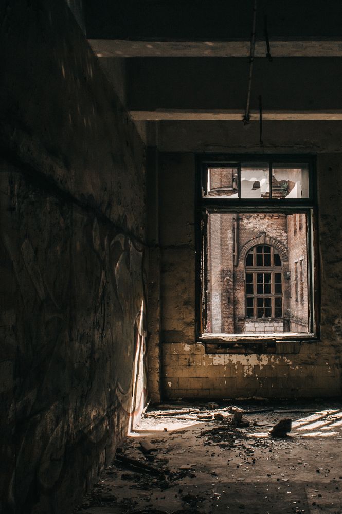 Photograph by Сафронова Любовь