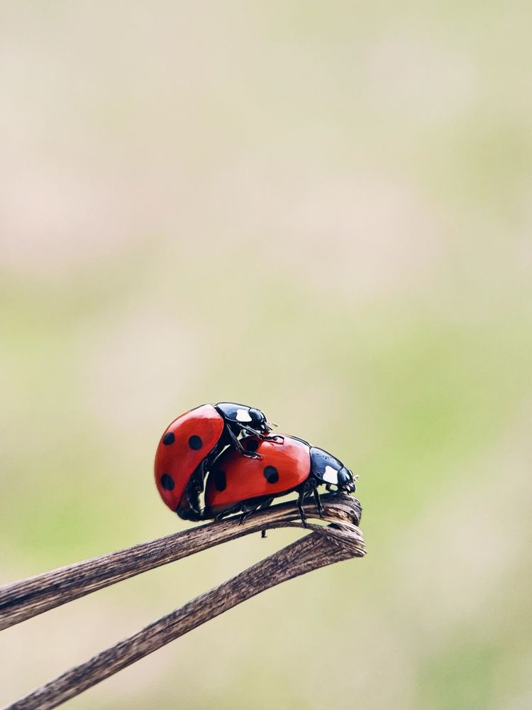 Photograph by Шумилина Марьяна