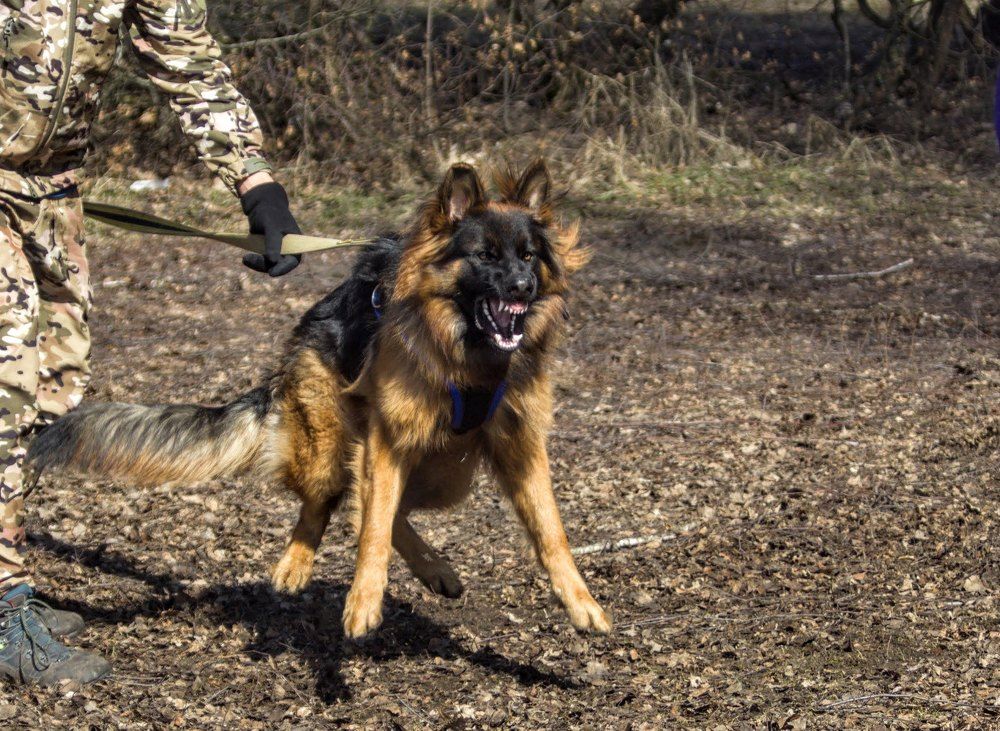 Photograph by Валерия Гончарова-Горобченко