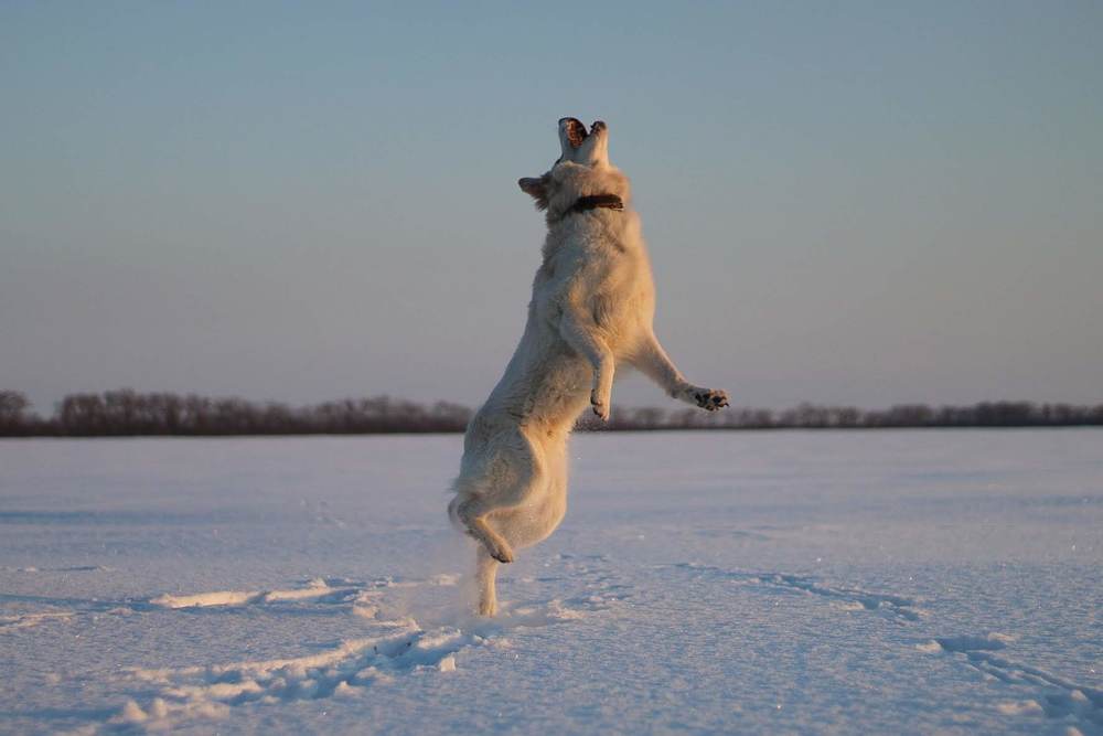 Photograph by Валерия Гончарова-Горобченко