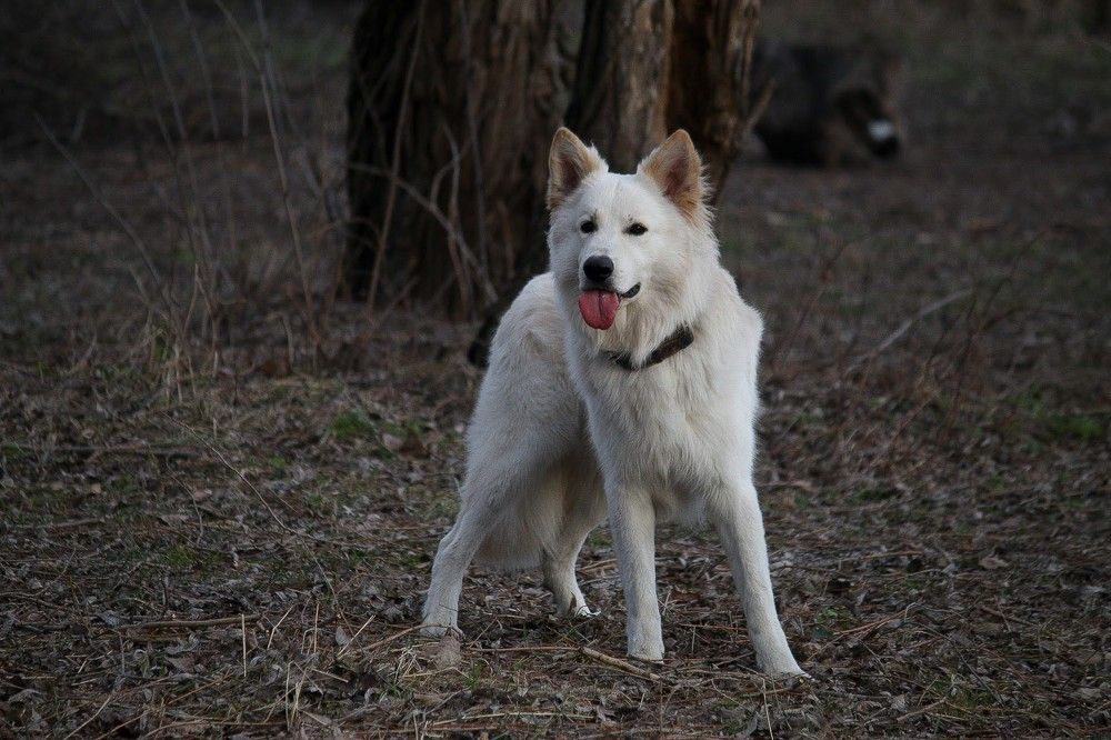 Photograph by Валерия Гончарова-Горобченко