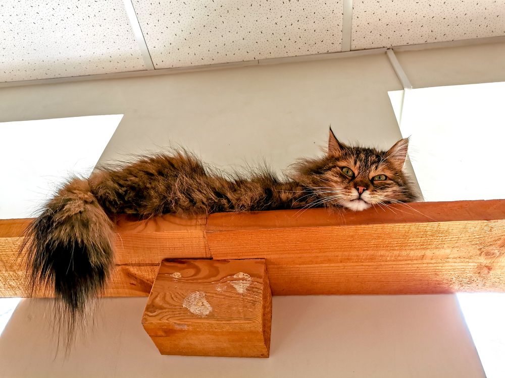 Photograph by Крылов Владимир