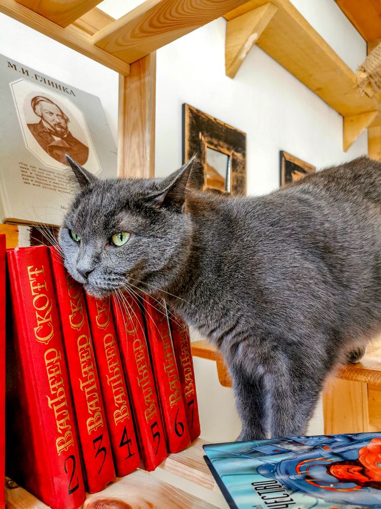 Photograph by Крылов Владимир