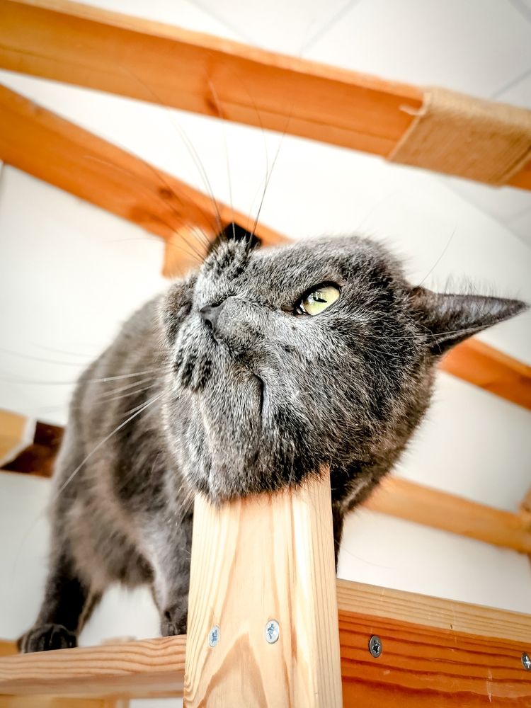 Photograph by Крылов Владимир