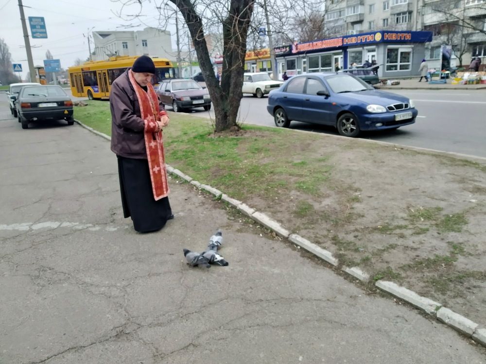 Photograph by Владимир Подкуйко