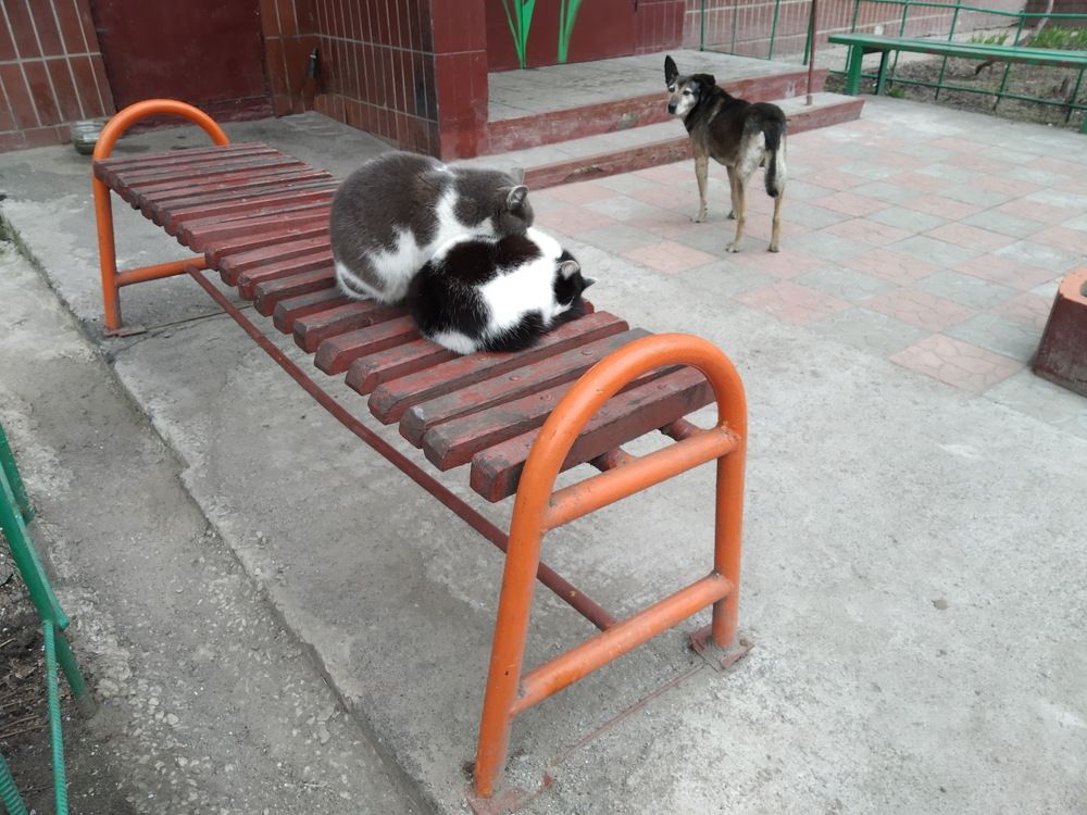 Ты их не буди, они так сладко спят.