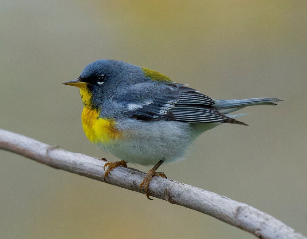 Photograph by Linda Olsen