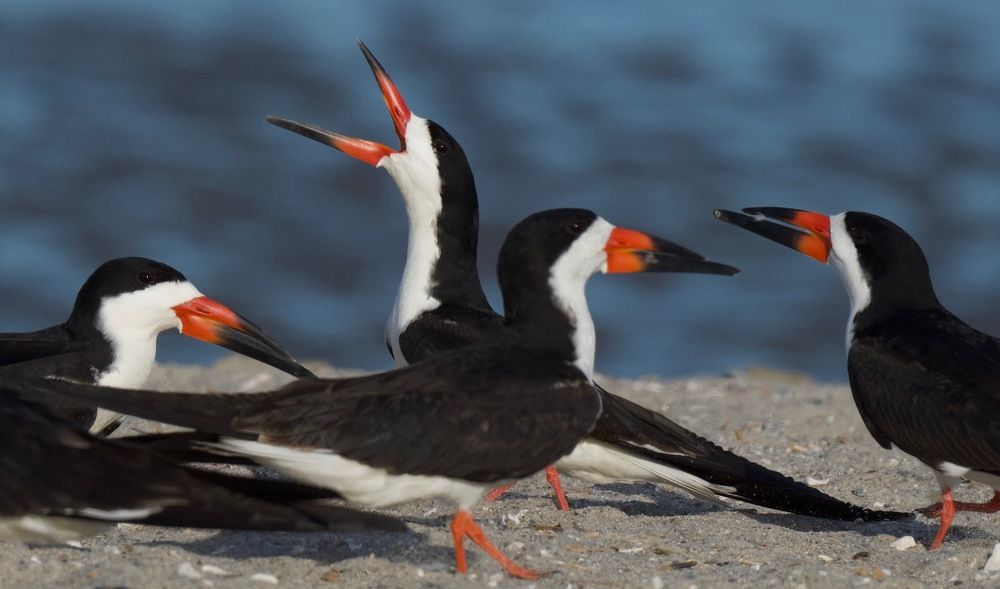 Photograph by Linda Olsen