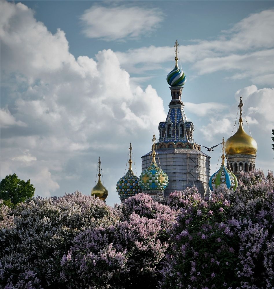 Photograph by Марина Безенкина