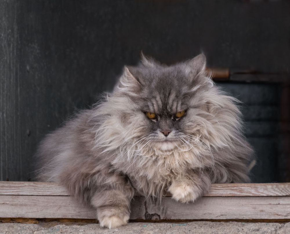 Photograph by Наталья Королева