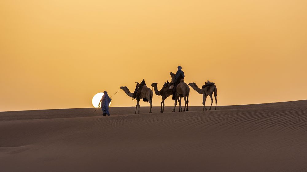 Touareg Caravan in the Algerian Desert.
