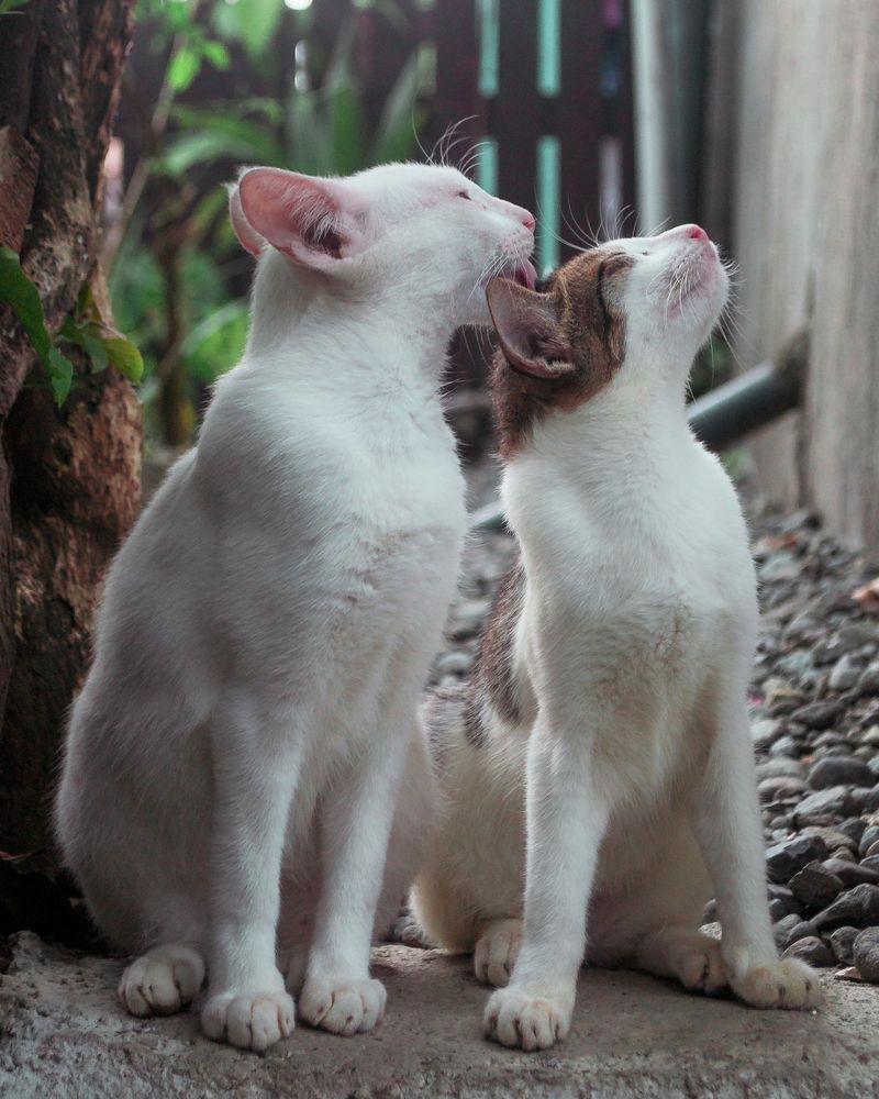 Photograph by Jerian Dale V. Figueroa