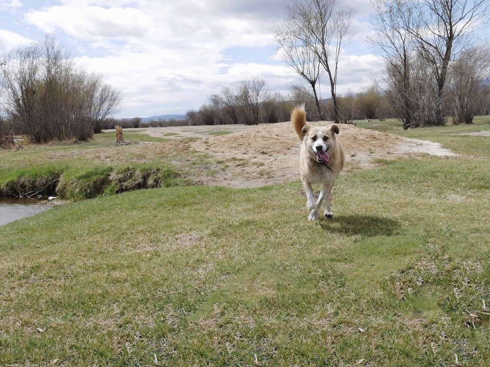 Photograph by Алеся Дей