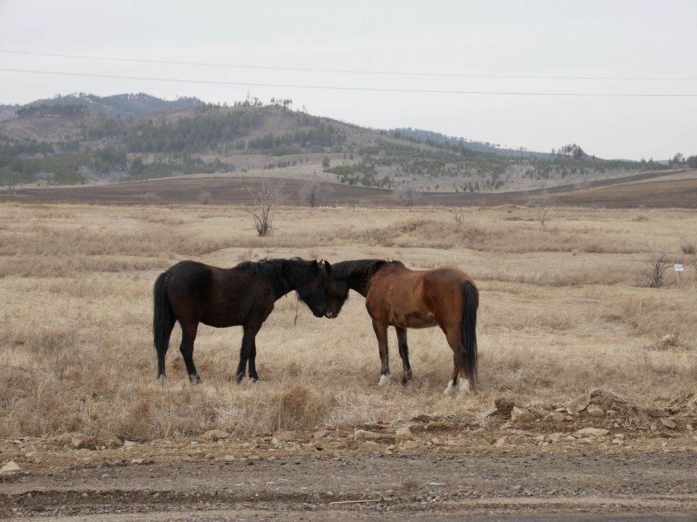 Photograph by Алеся Дей