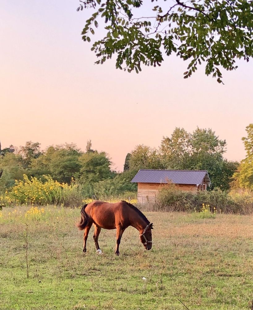 На рассвете