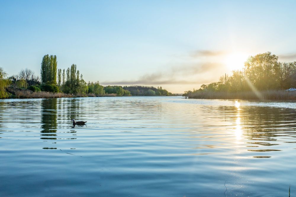 Photograph by Виталий Абдразаков