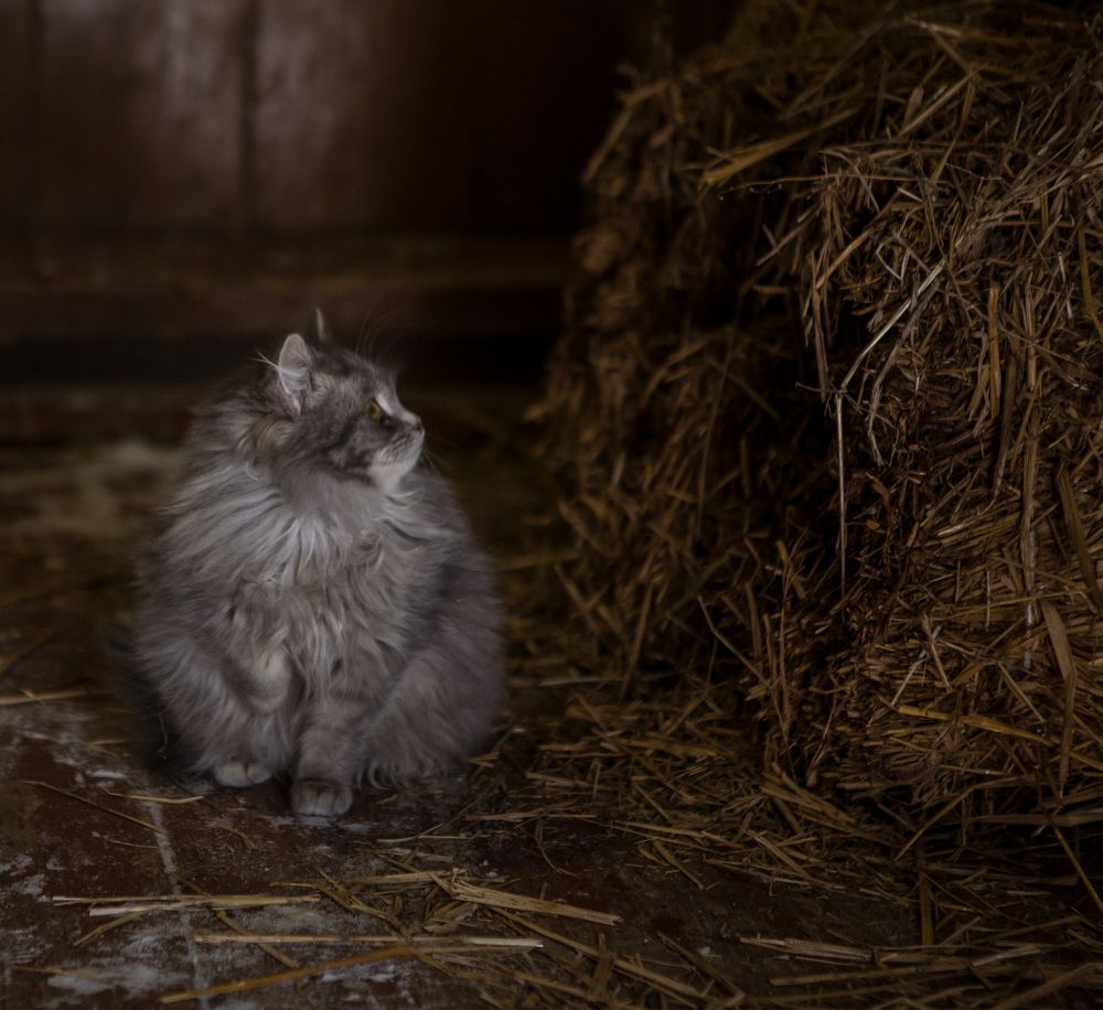 Photograph by Вячеслав