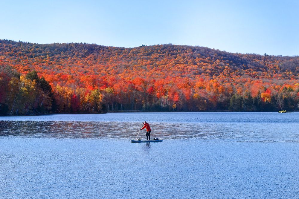 Photograph by Gargee Chowdhury