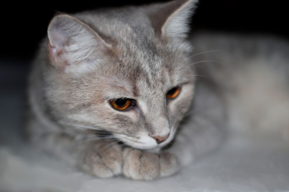 Photograph by Вячеслав