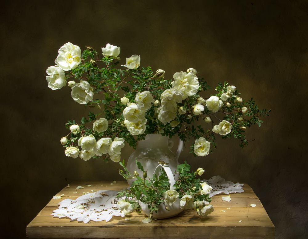 Photograph by 