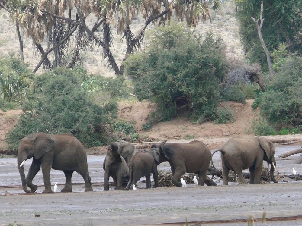 Photograph by Langat James