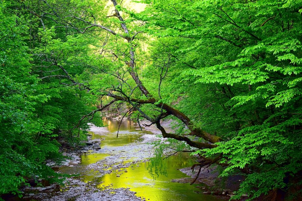 Photograph by Margo Margo