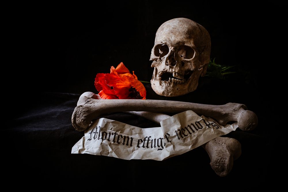 Mortem effugere nemo potest