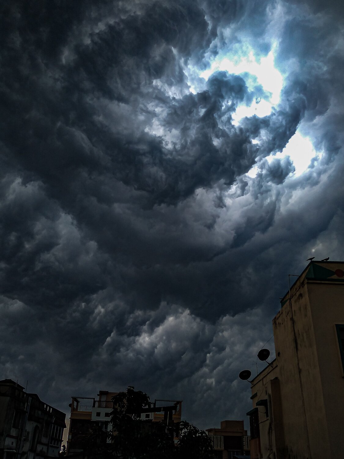 Photo #6173677