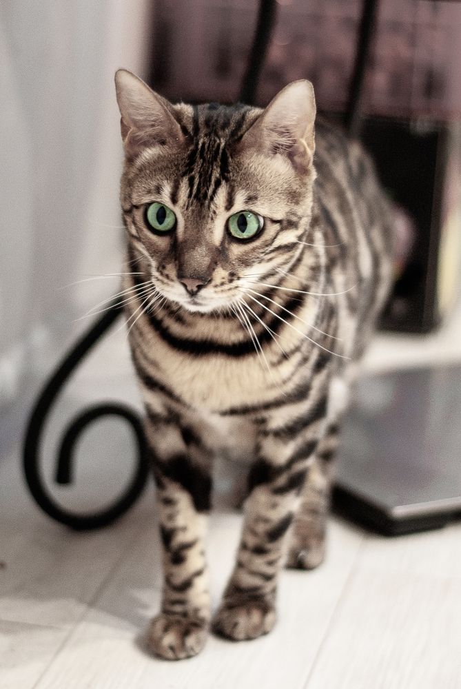 Фотография автора Наталья