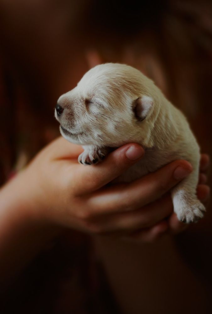 Photograph by Elena Makarova