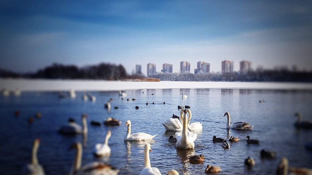 Фотография автора Дана Богинская