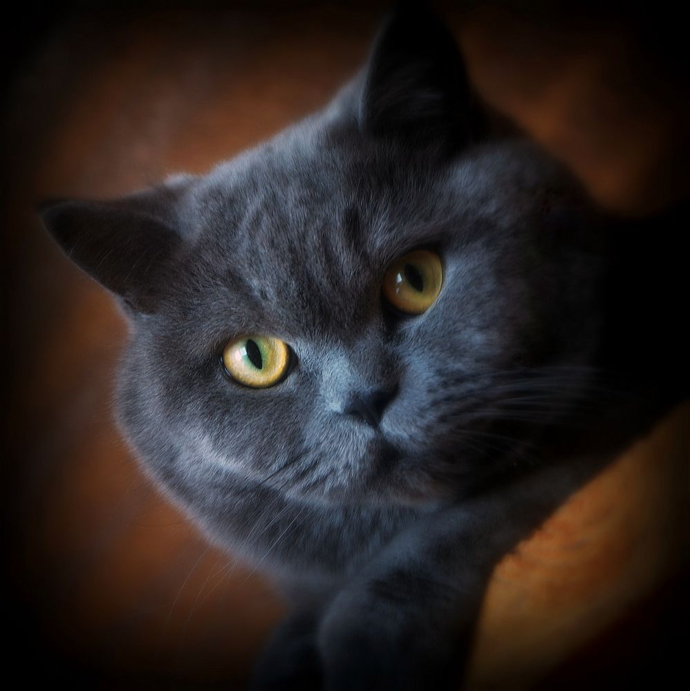 Photograph by Сергей Алексеев