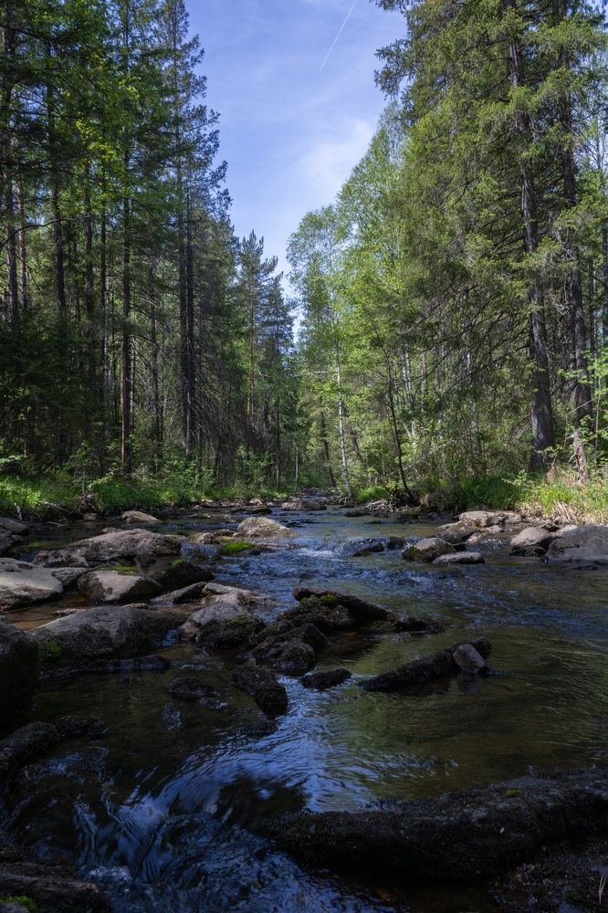 Photograph by Елена Водолеева