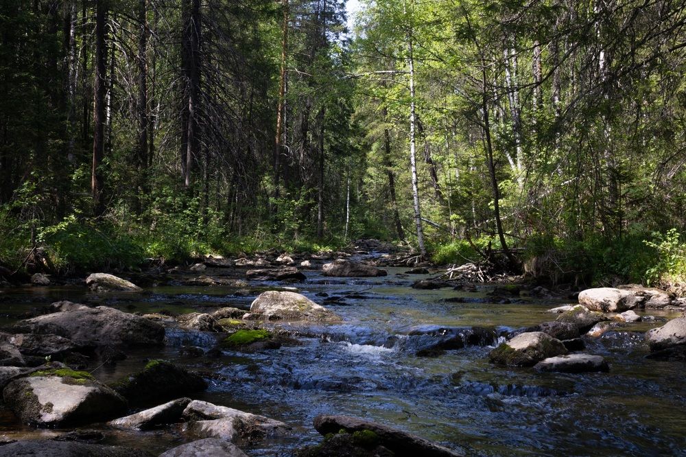 Photograph by Елена Водолеева