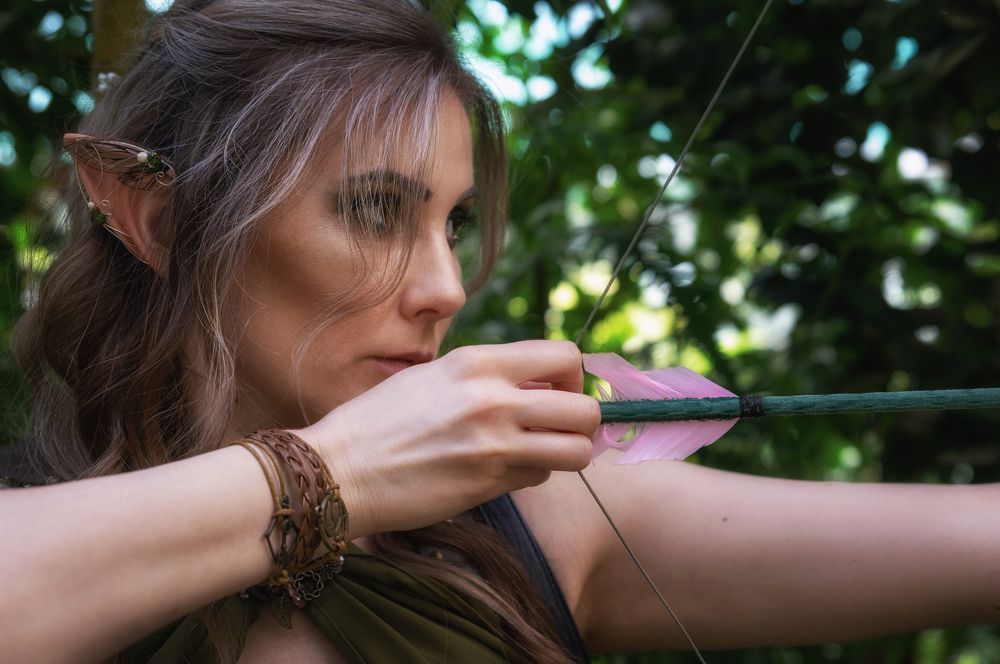 проект Эльфийка