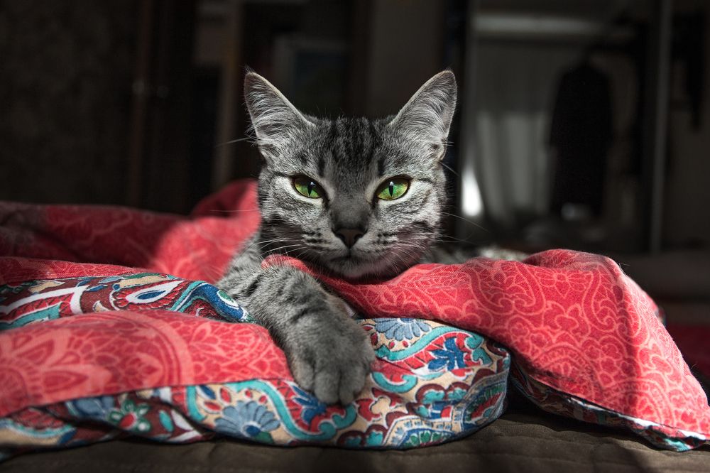 Photograph by Екатерина Акулова