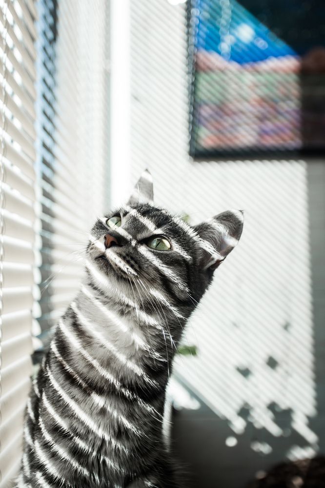 Photograph by Екатерина Акулова