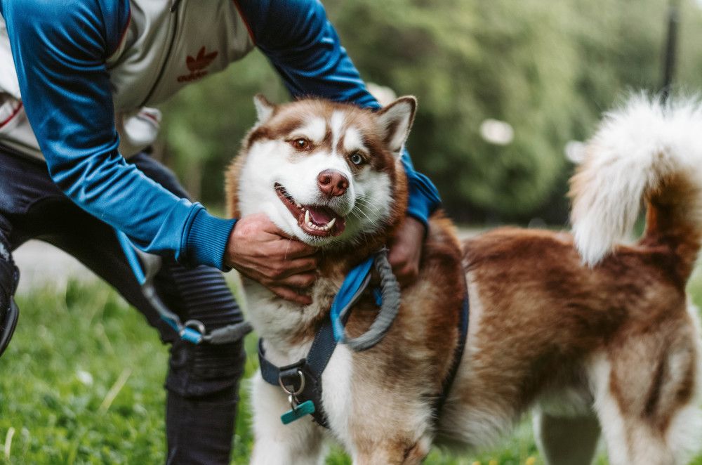 Photograph by Мария Дубова