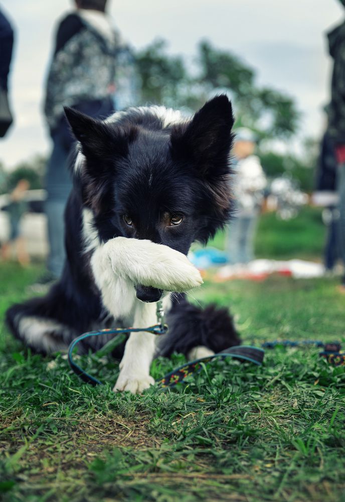 Photograph by Инна Калюжная