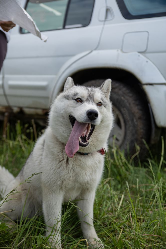 Photograph by Инна Калюжная