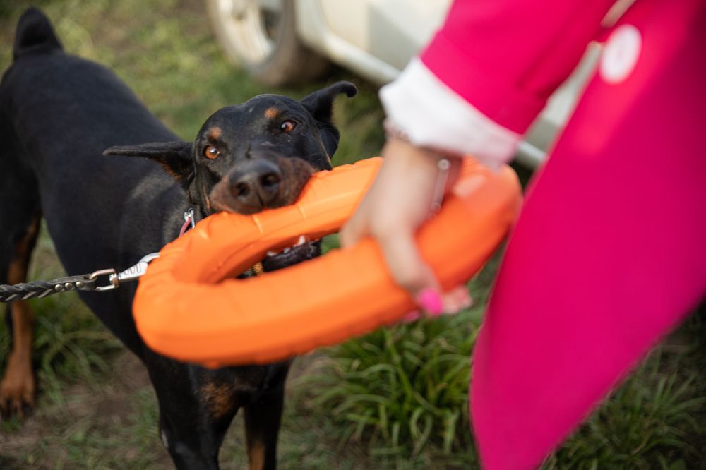 Photograph by Инна Калюжная