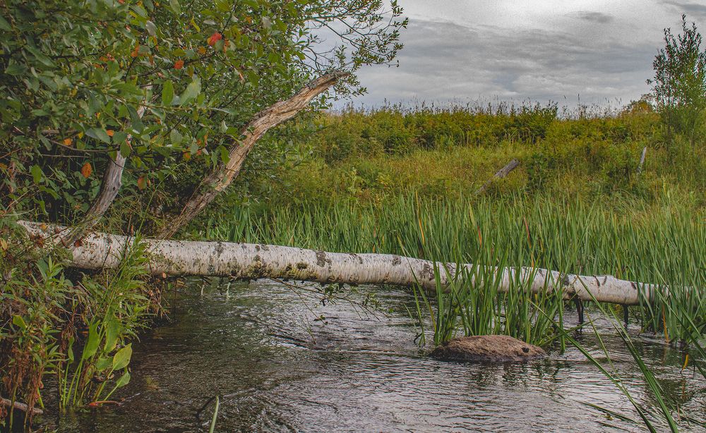 Photograph by Viktor Lazarev