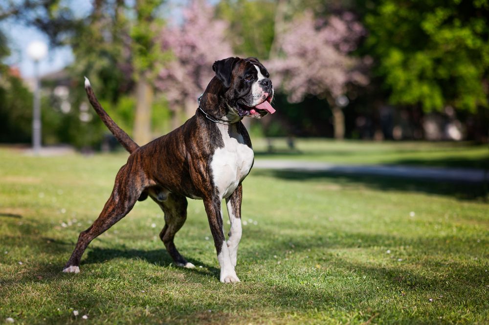 Photograph by Svetlana Soboleva