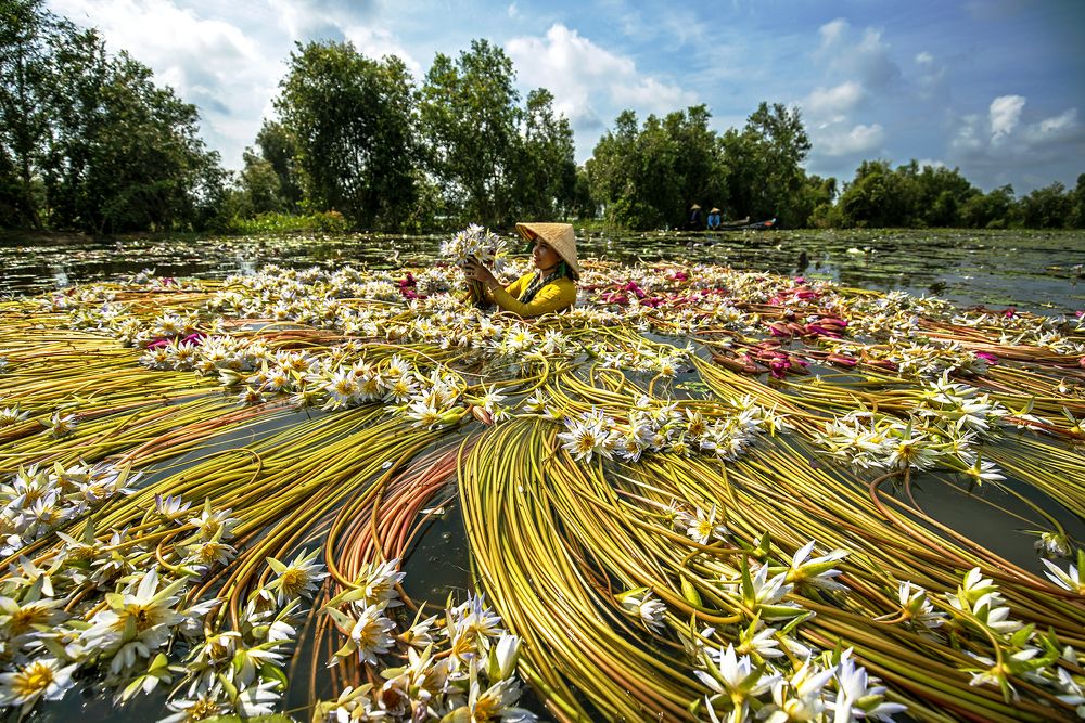 Photograph by Ngọc Đỗ