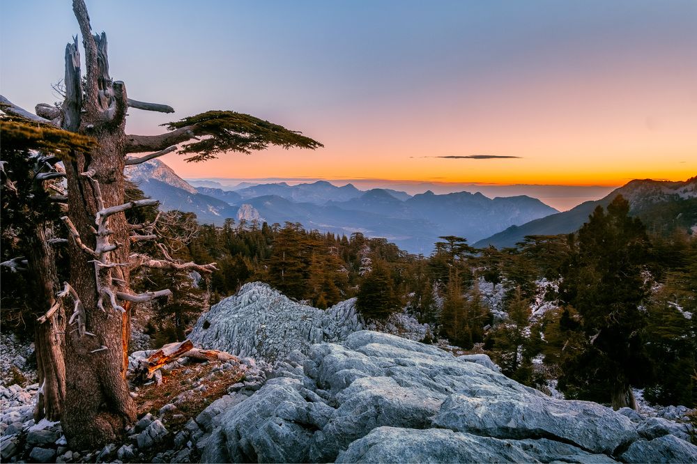 Photograph by Александр