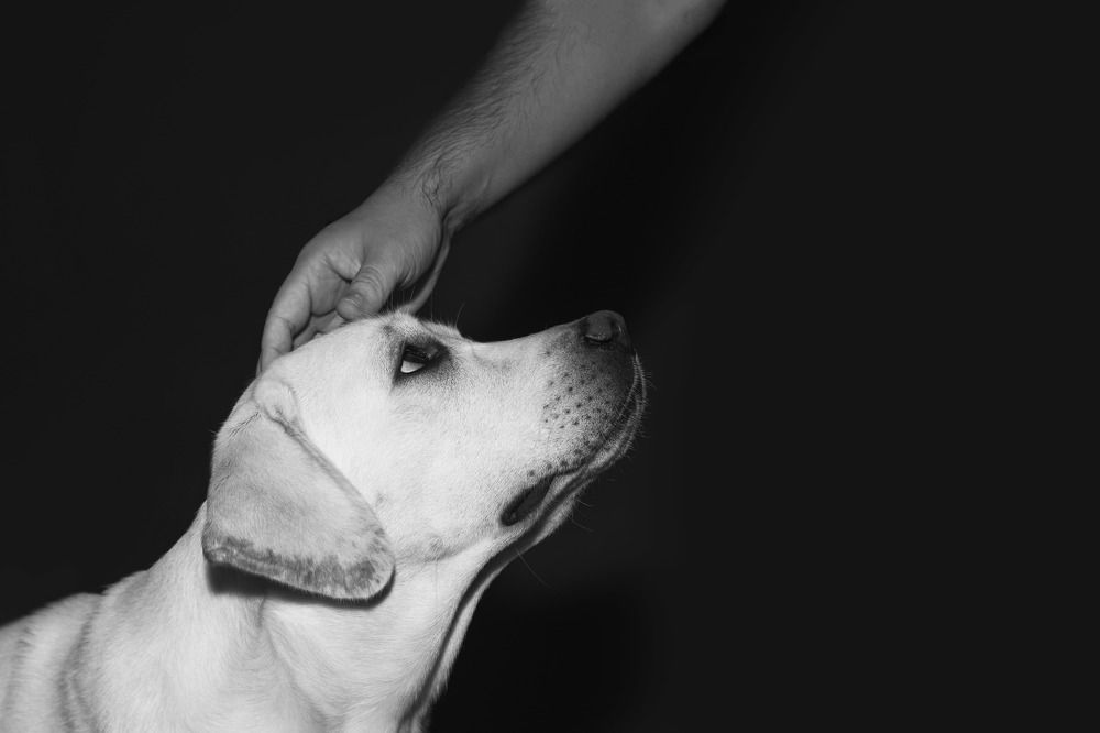 Photograph by Евгения Тарасова