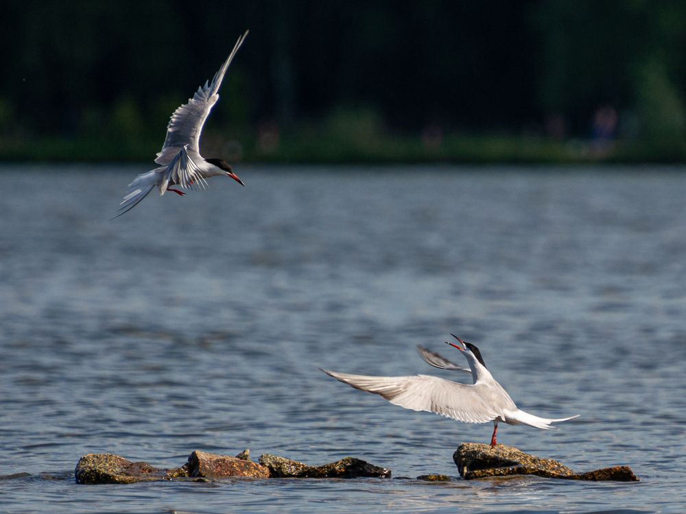 Photograph by Анастасия Попельская